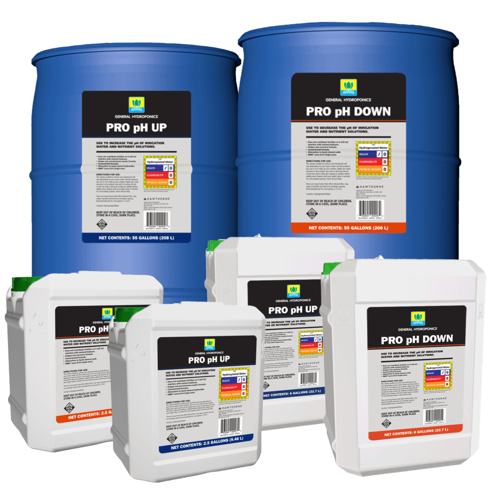 Maintenance & pH Control